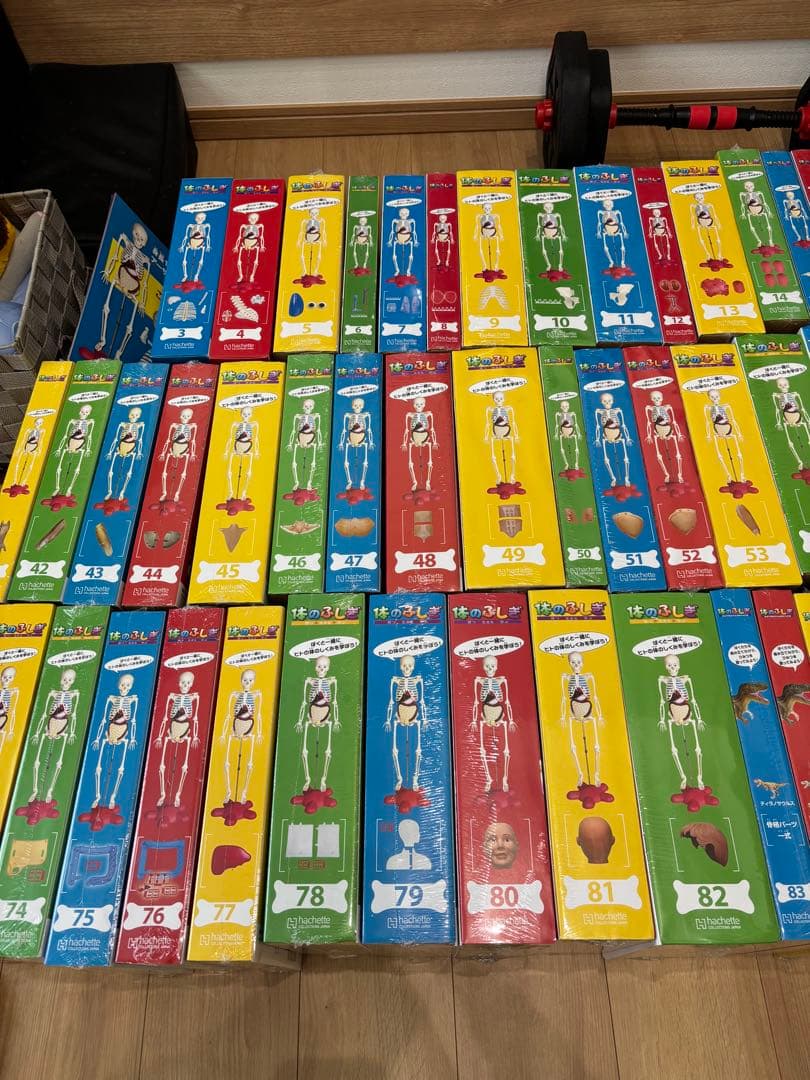 最終値下げ❗️アーサー 人体模型 セット 101個 バインダー14冊付き