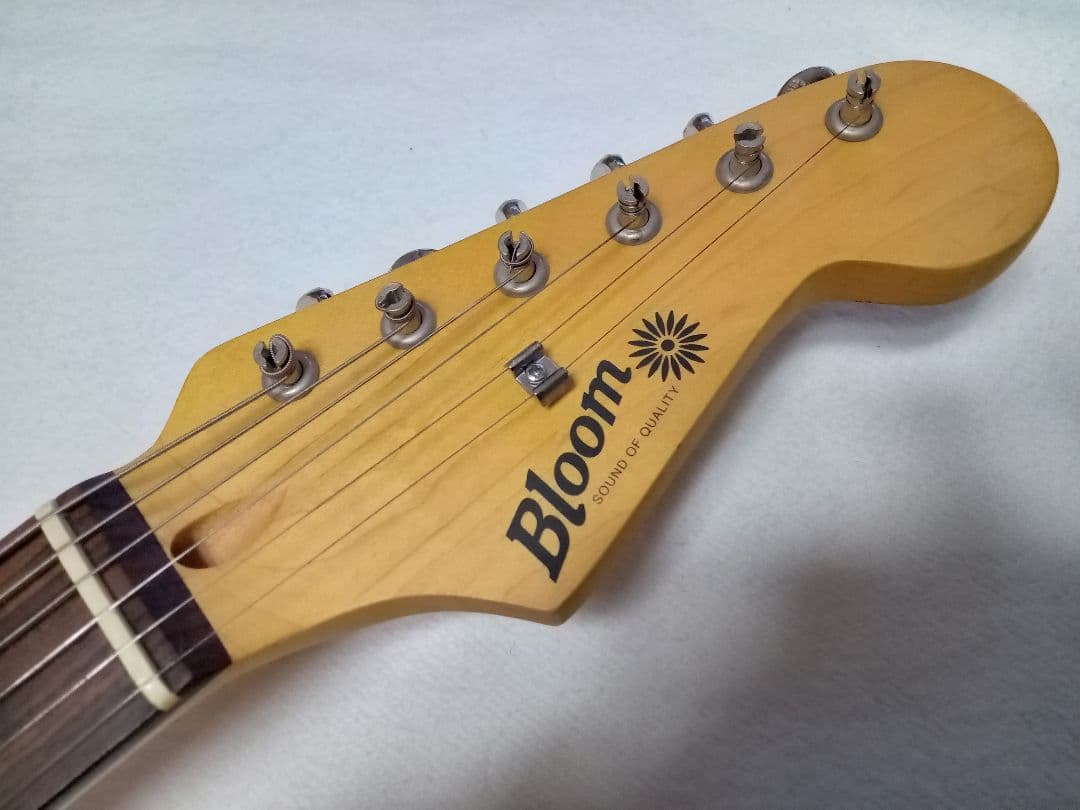 Bloom STV-200 極上美品！