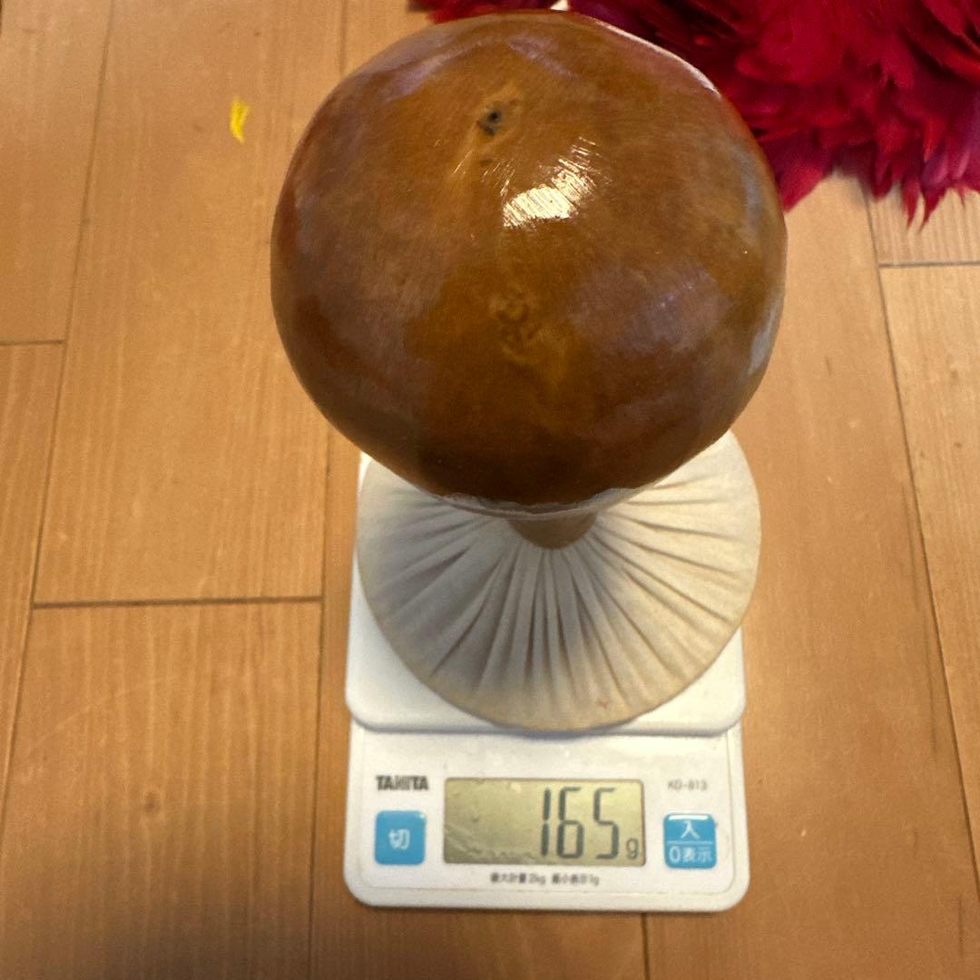 フラダンス 楽器　ウリウリ 着脱式　ハワイ　アロハ