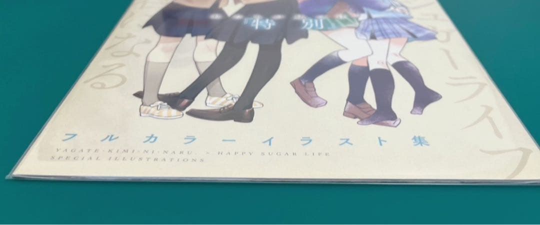 【激レア】　ハッピーシュガーライフ　やがて君になる　フルカラーイラスト集　希少
