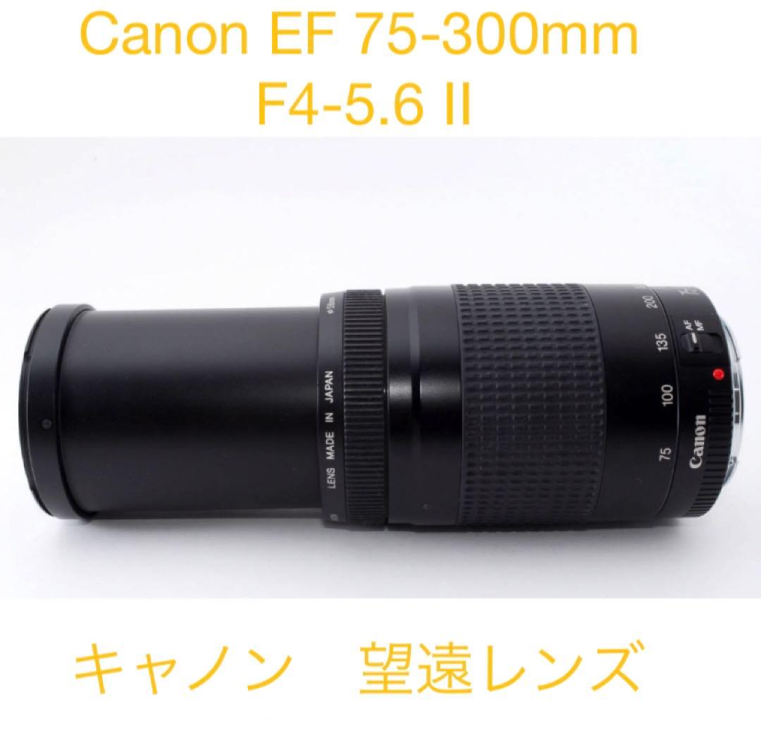 デジタル一眼レフカメラCanon EF 75-300㎜ F4-5.6 Ⅱ☆
