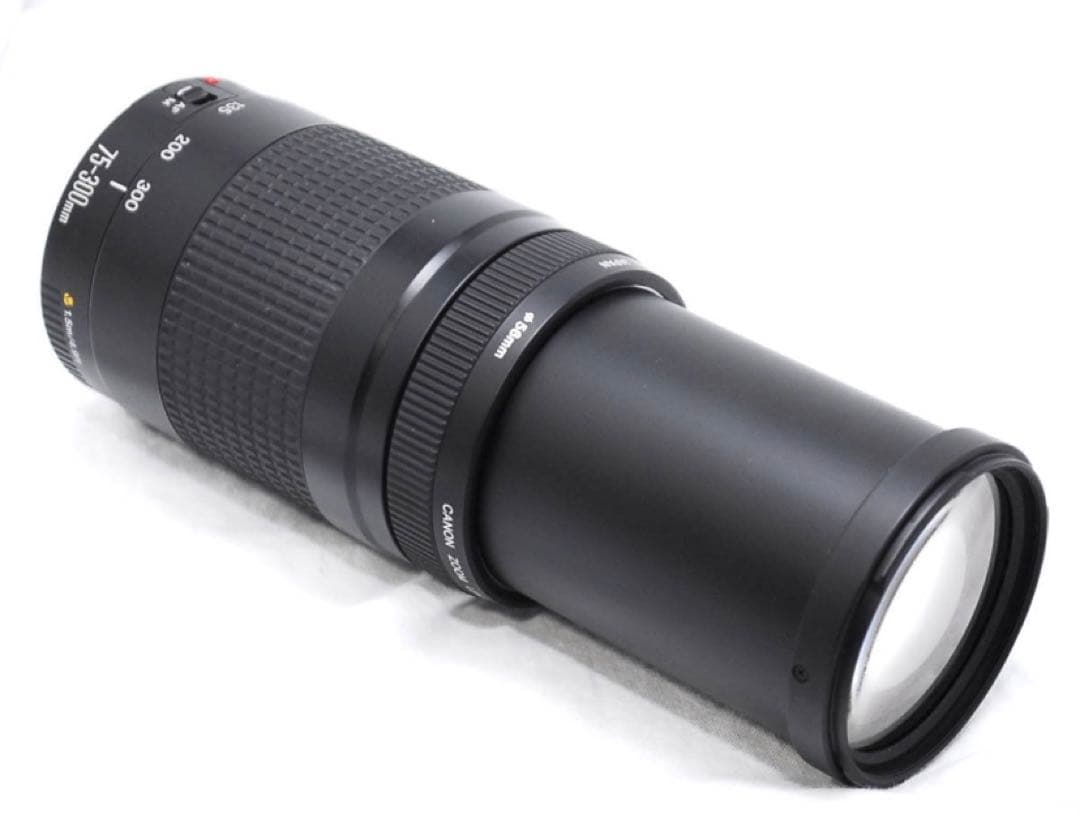 デジタル一眼レフカメラCanon EF 75-300㎜ F4-5.6 Ⅱ☆