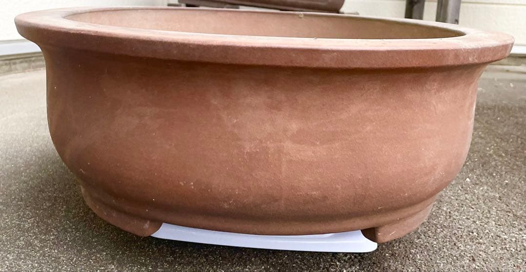 盆栽 鉢 57cm 板山 大型 特大 - メルカリ