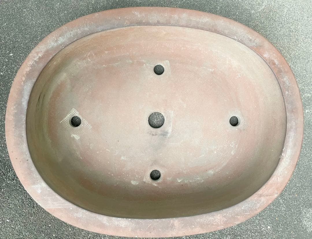 盆栽 鉢 57cm 板山 大型 特大 - メルカリ