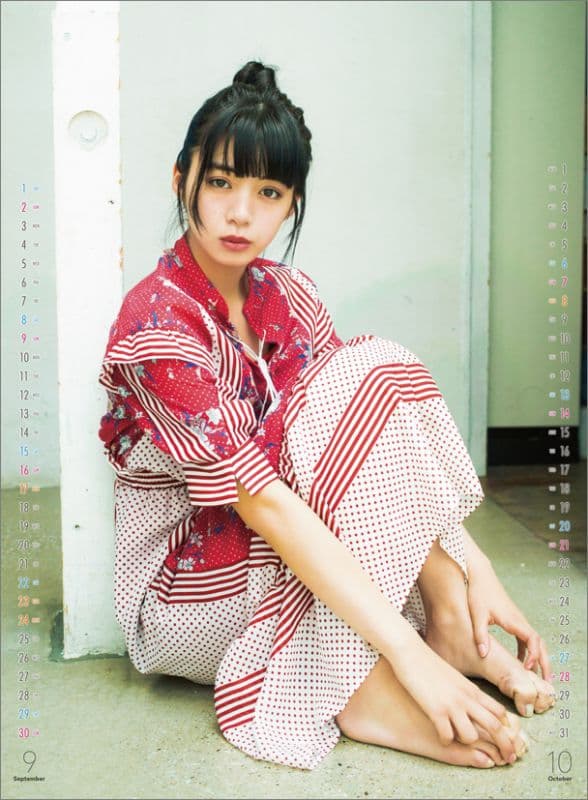 未開封】池田エライザ カレンダー2018 サイン入り