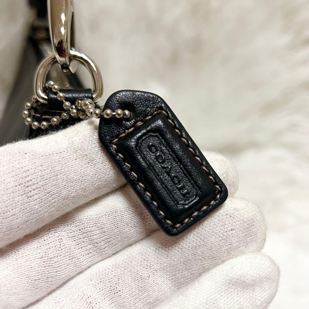未使用級✨COACH ワンショルダーバッグ アクセサリーポーチ レザー y2k