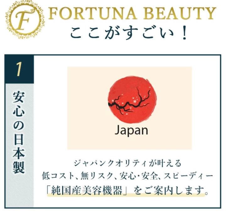 特別値下げ価格】1台限定EMSLED美容機器PL保険 施術通い不要になり