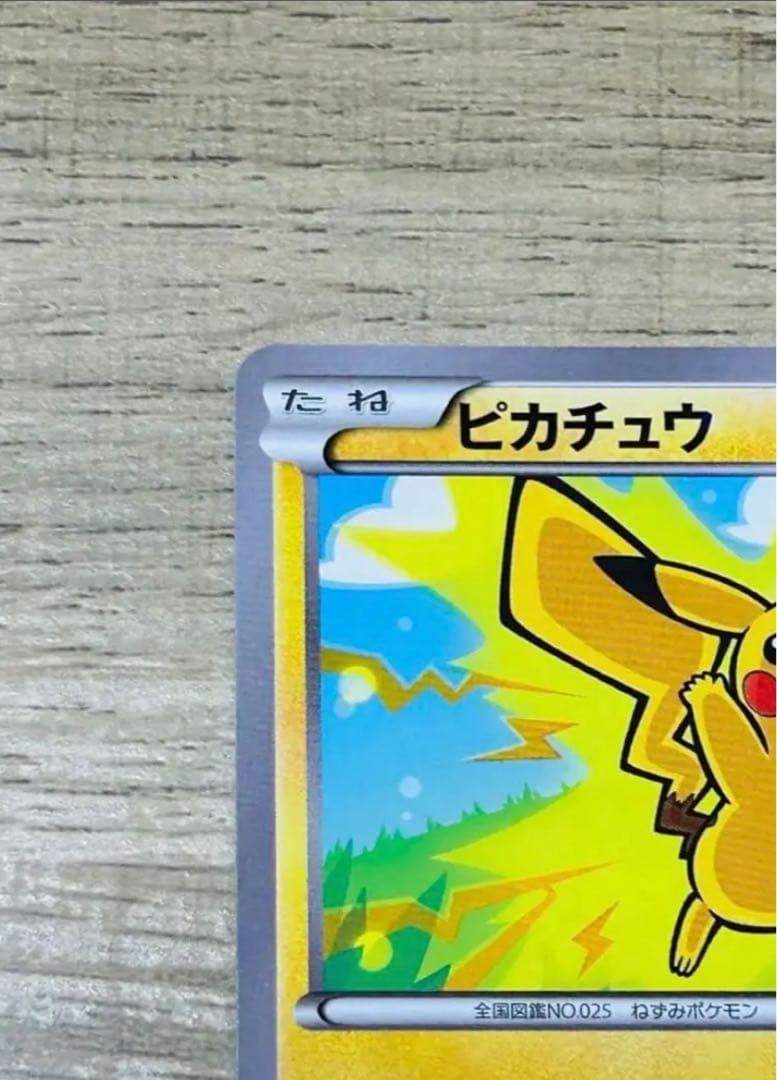 ポンチョを着たピカチュウ