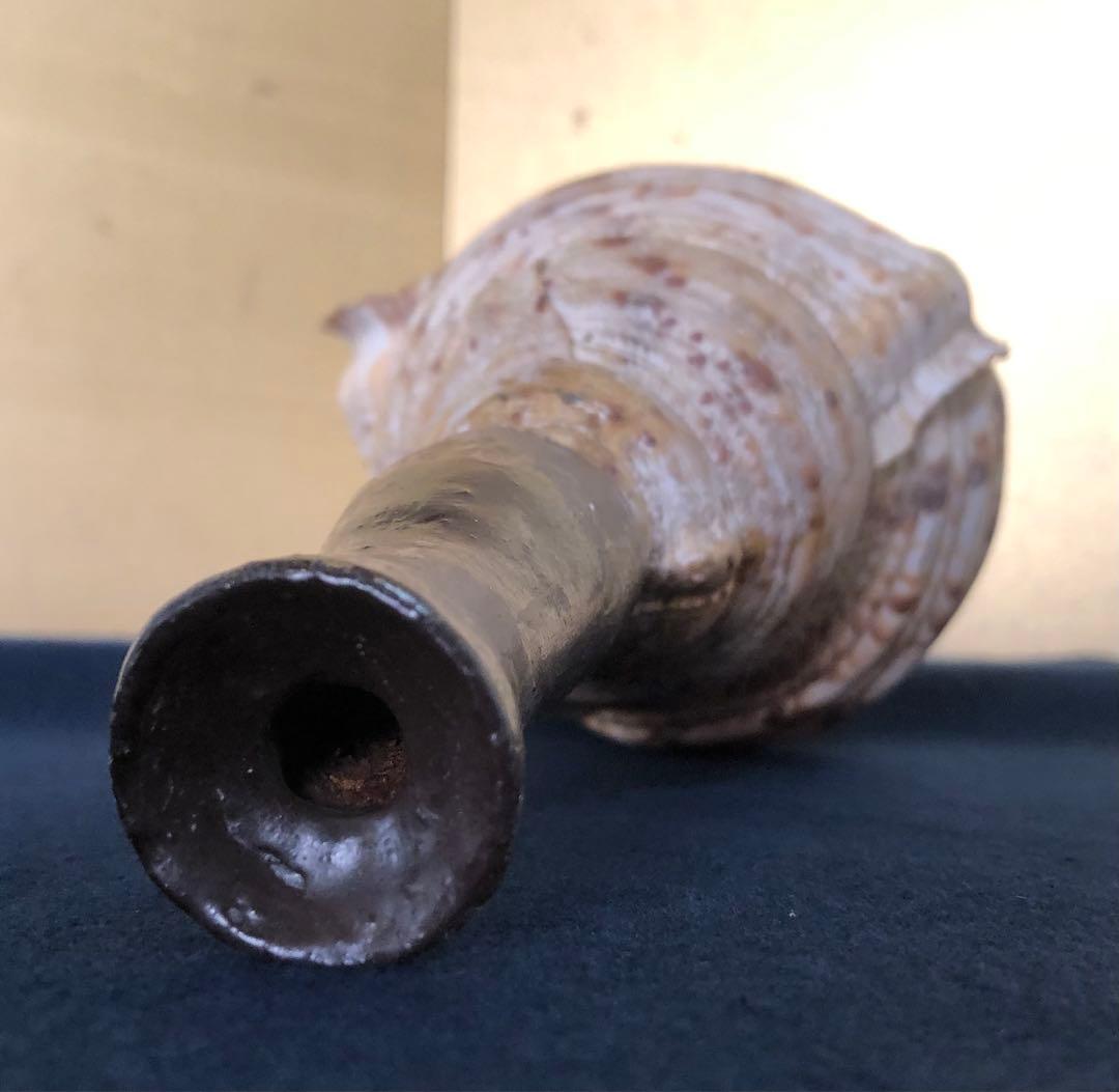 《R》法螺貝 ホラ貝 山伏 法具 和楽器 全長約39㎝　260105か4