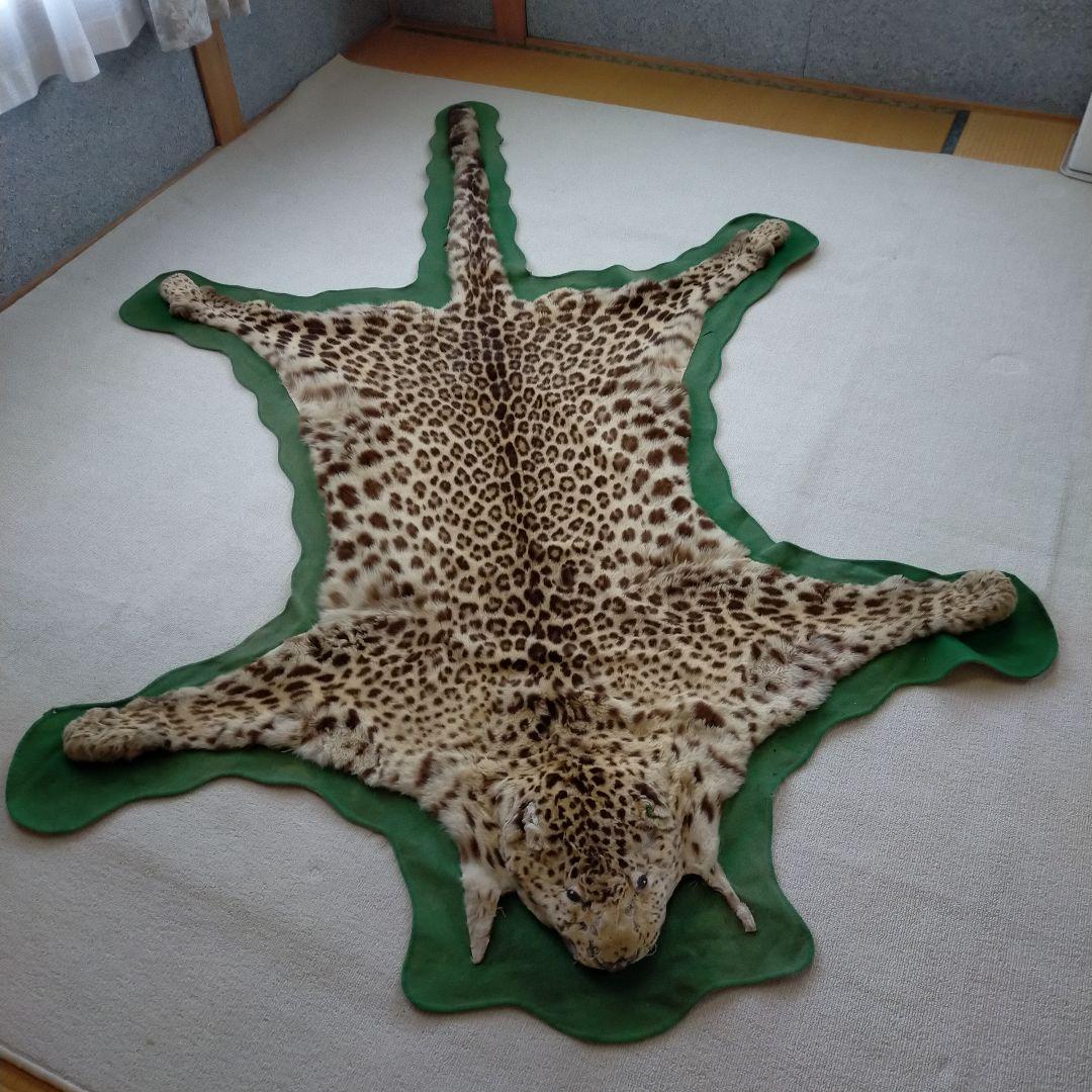 希少】登録票付爪付ヒョウ剥製敷物ラグマット214㌢ 毛皮壁掛豹