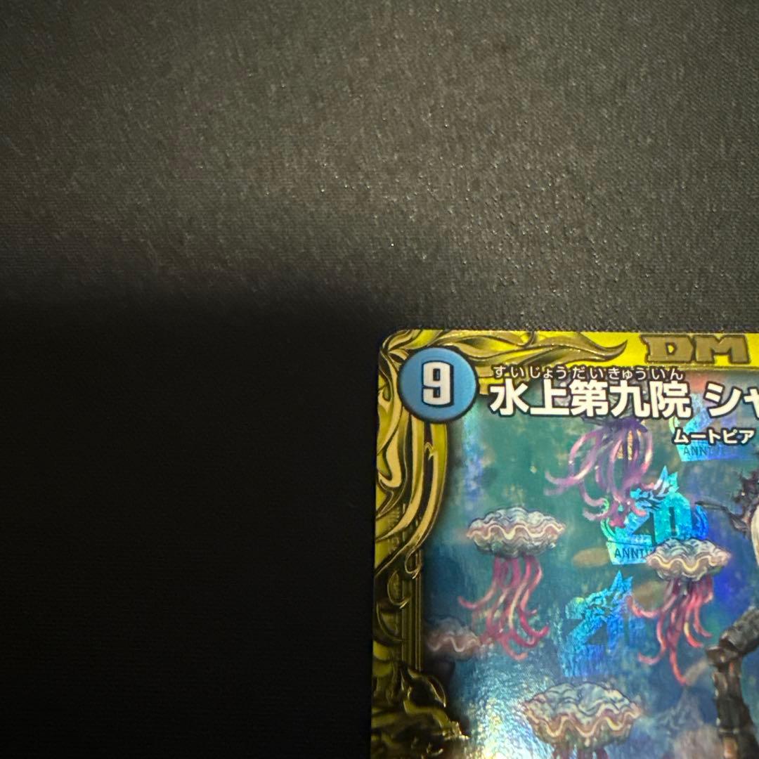 水上第九院シャコガイル b