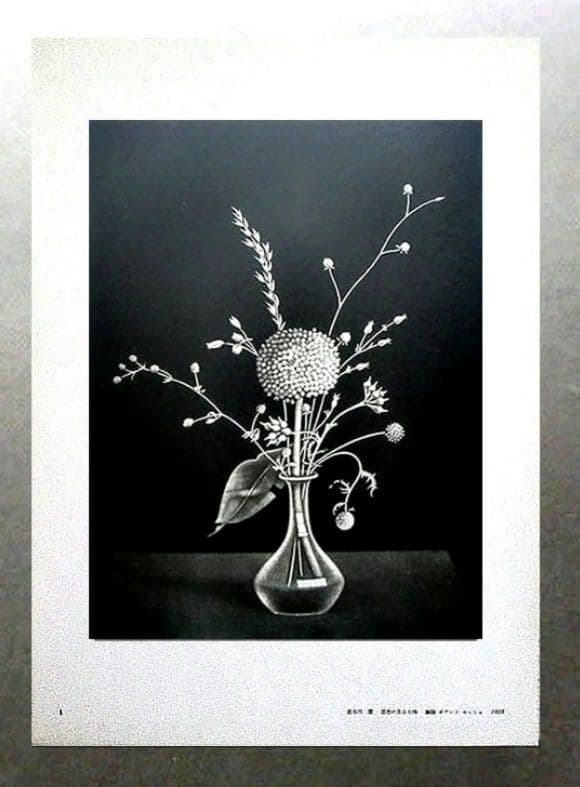 ◇長谷川 潔 銅版画2点美品「 瓶に刺した種草 」「静物画・仮装したる