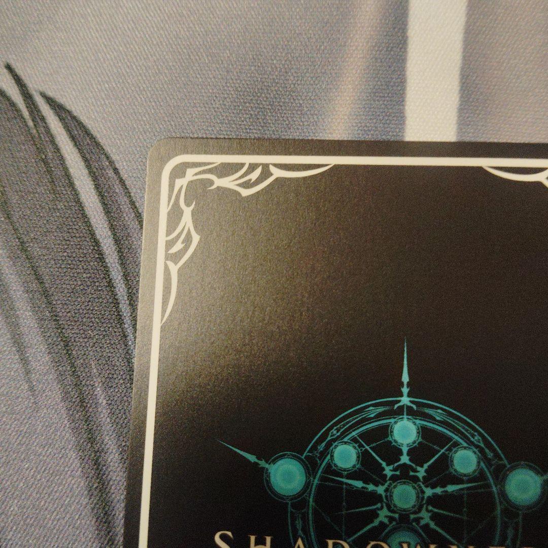 エボルヴ　女神は朝焼けの海に　新田美波　sp