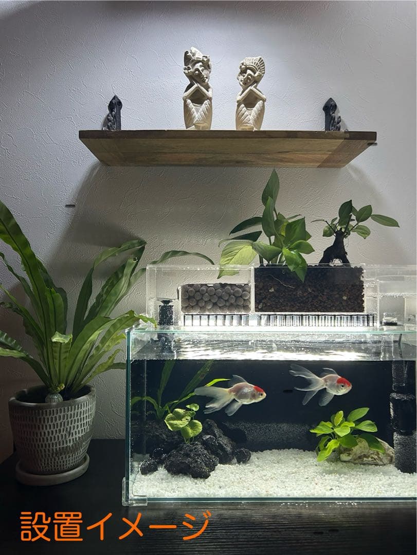 上部濾過槽＋ガラス水槽セット アクアリウム水槽アクアポニックス仕様