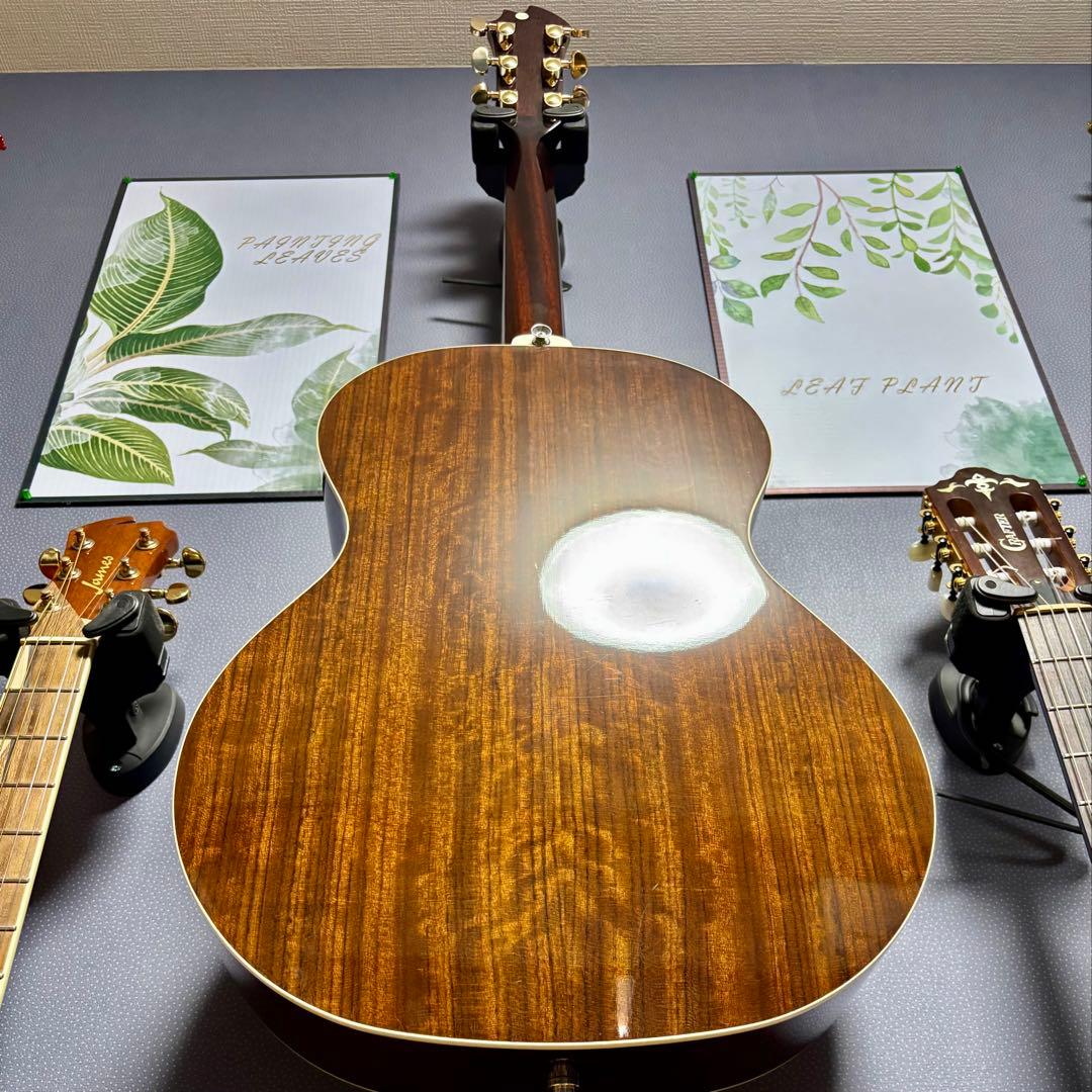 美品エレアコ】James J500A/ova トップ単板 ソフトケース付き