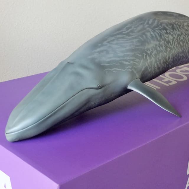 海洋堂]メガソフビアドバンス MSA-004 シロナガスクジラ☆全長70cm