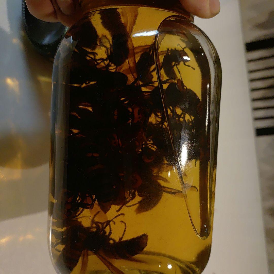 オオスズメバチ焼酎漬け1リットル✕2本　3年もの