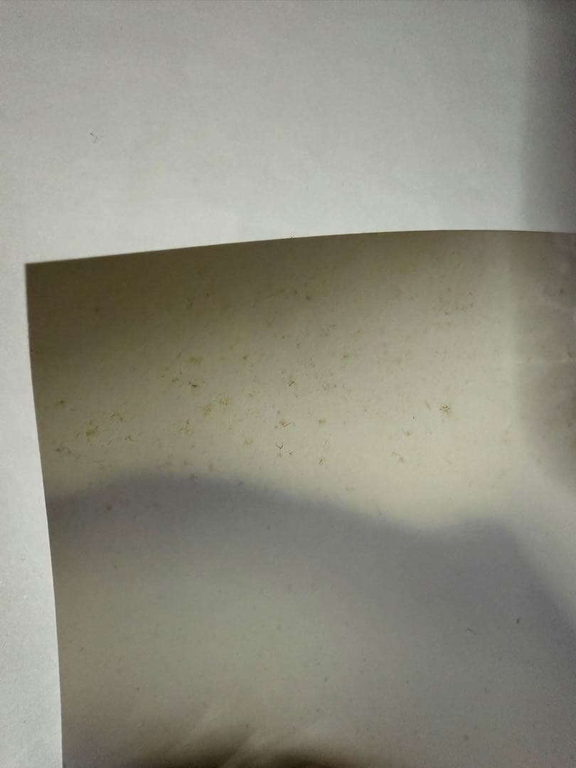 天羽希純ポスター【本人直筆サイン入り】【イベント限定特典】【非売品】在庫1点限り