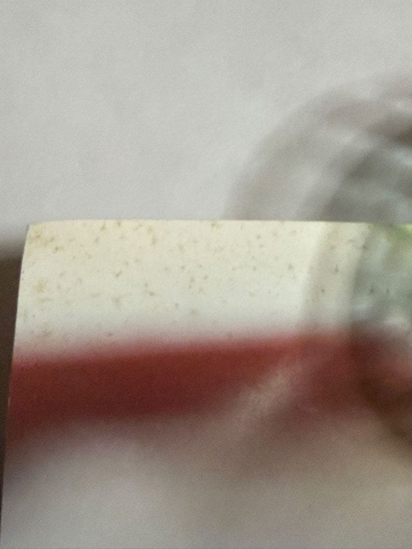 天羽希純ポスター【本人直筆サイン入り】【イベント限定特典】【非売品】在庫1点限り