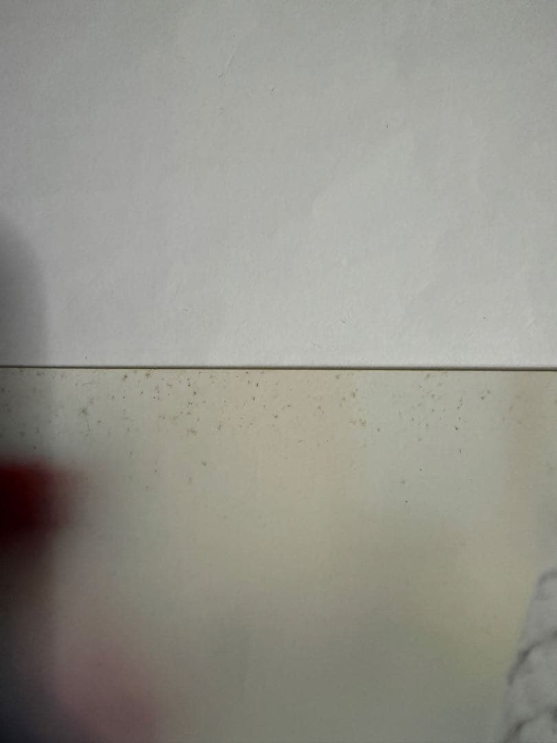 天羽希純ポスター【本人直筆サイン入り】【イベント限定特典】【非売品】在庫1点限り