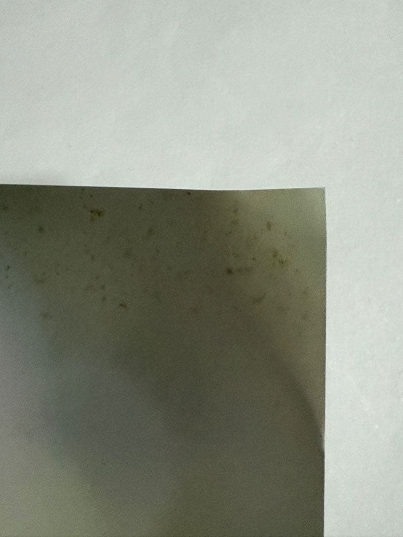 天羽希純ポスター【本人直筆サイン入り】【イベント限定特典】【非売品】在庫1点限り