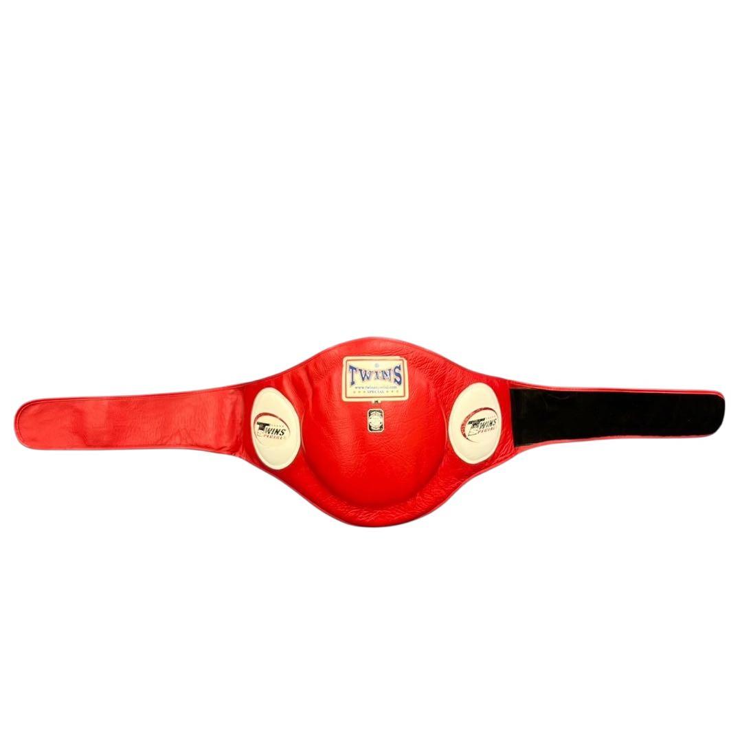 TWINSボディーミット キック打撃練習 格闘技