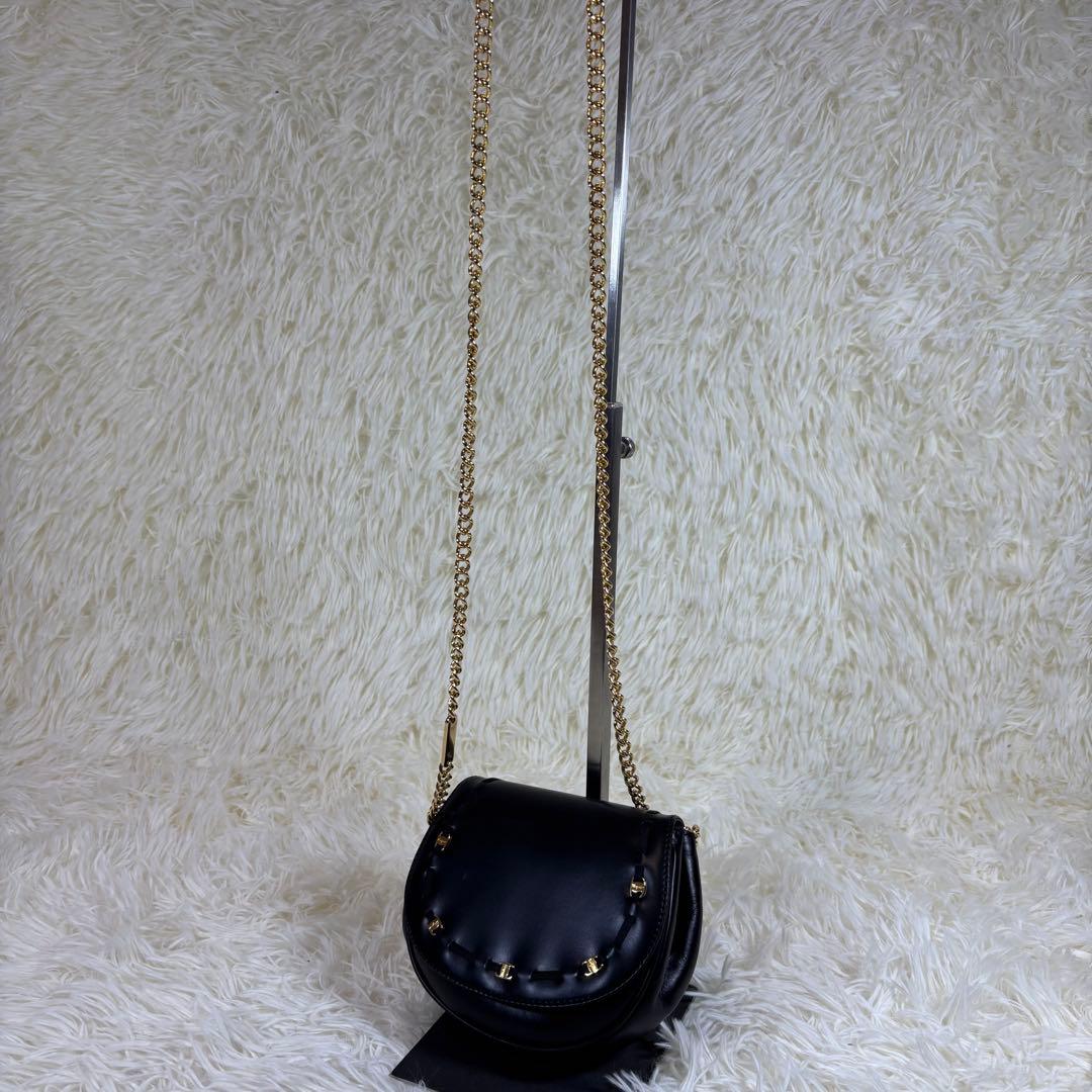 【美品✨】 フェラガモ ショルダーバッグ ヴァラリボン オールレザー