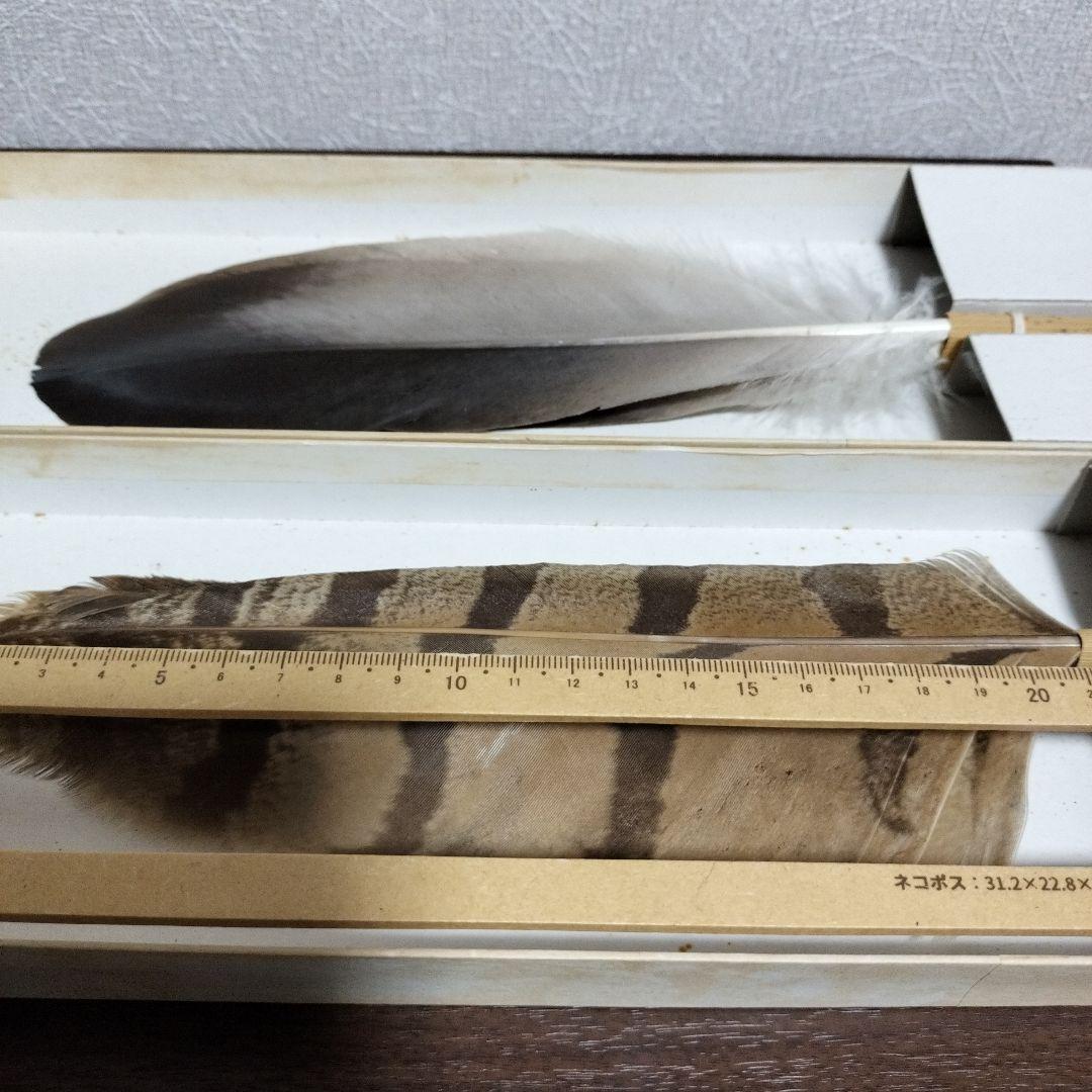 御羽箒 縞梟三ツ羽根 と姉羽鶴羽掃 風炉 紙箱 - メルカリ