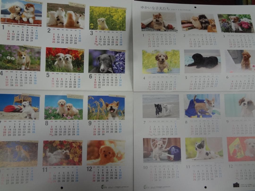 ゆかいな子犬たち 2012－2024カレンダーコレクションセット○新品