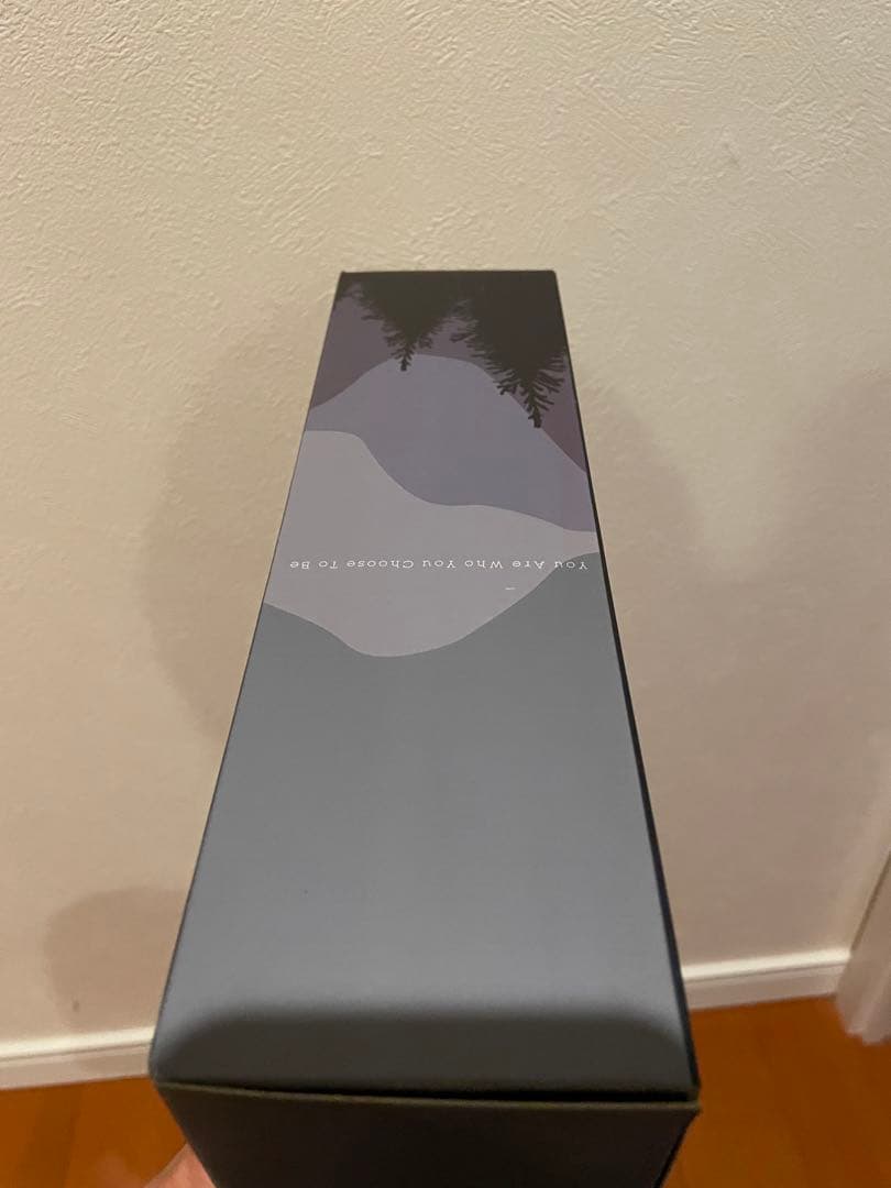 RIOBOT アイアン・ジャイアント (初販) 1/80スケール 新品未開封