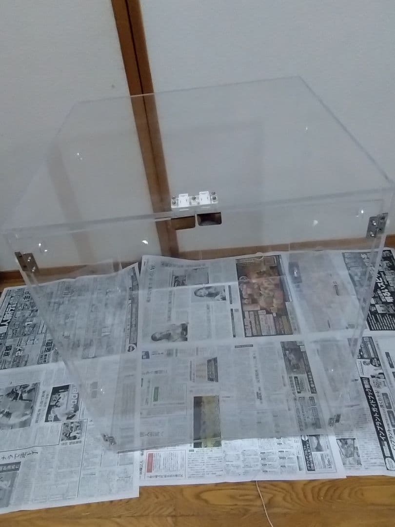 楽天市場】昆虫 採集 セットの通販 クワガタ採集セット 蛍光ピンク