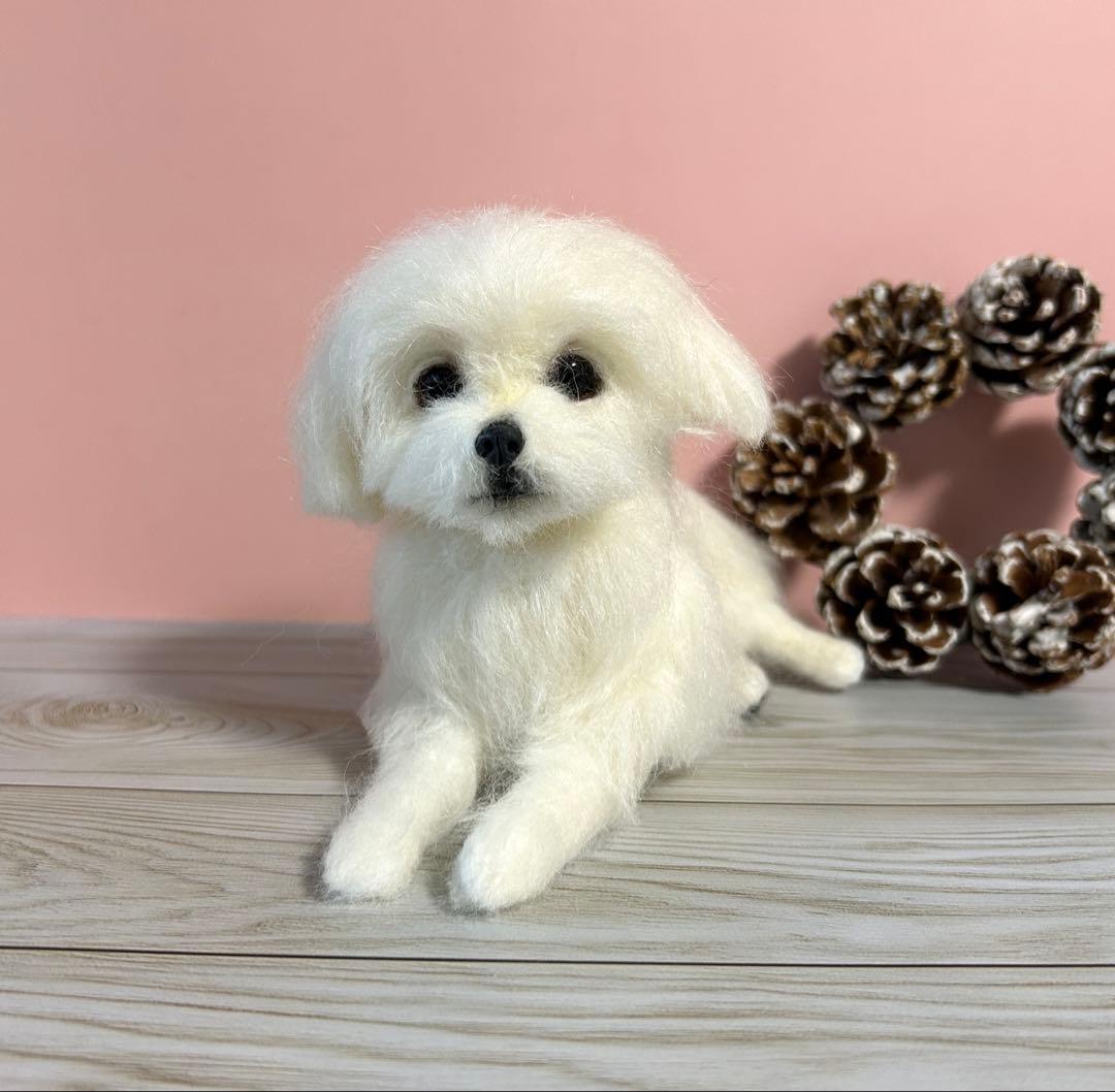 羊毛フェルト リラックスマルチーズちゃん 12 - メルカリ