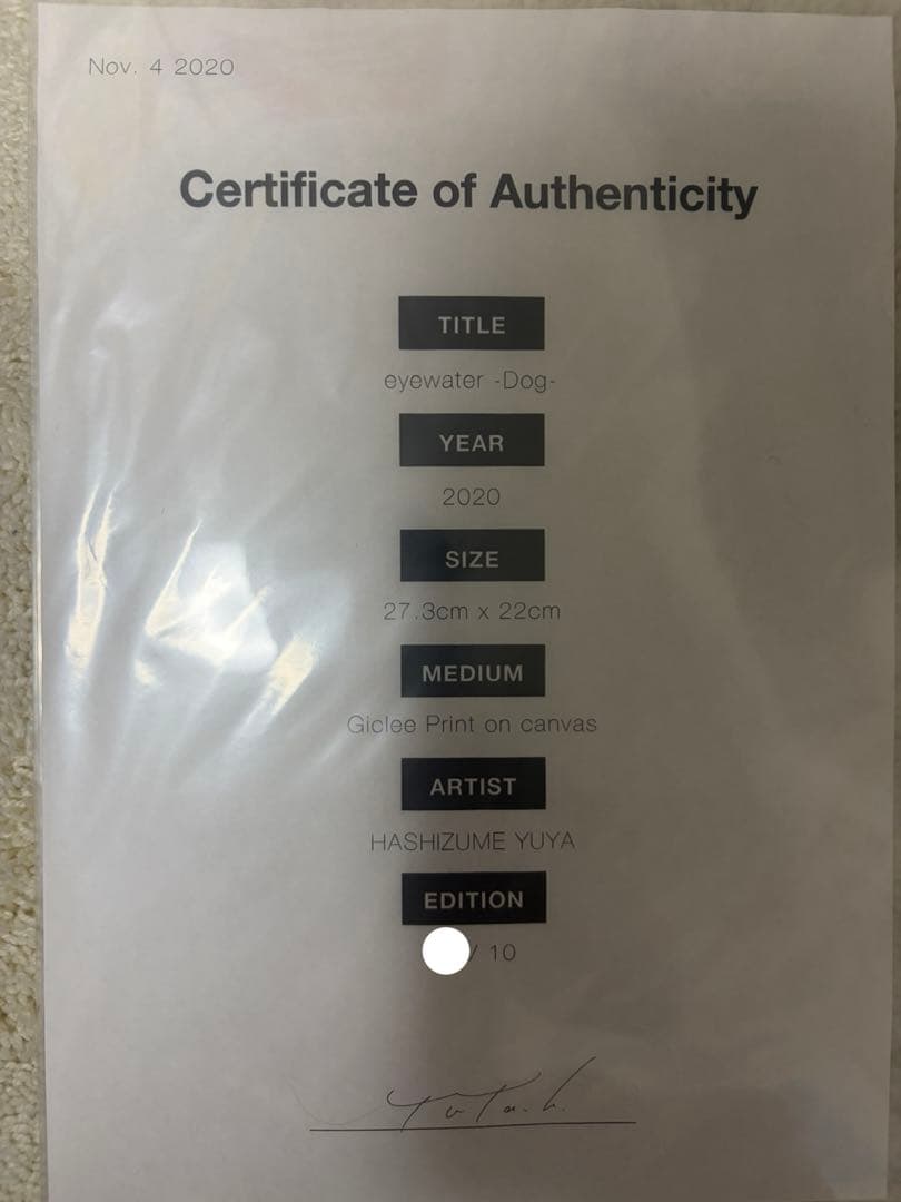 ハシヅメユウヤ　橋爪悠也　キャンバス　ジークレー　真作　kyne 現代アート　①