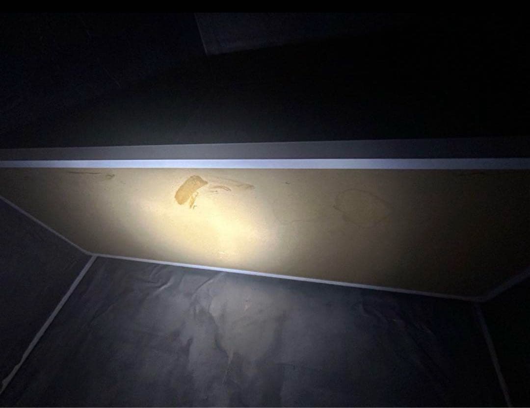 だんぼっちグランデ