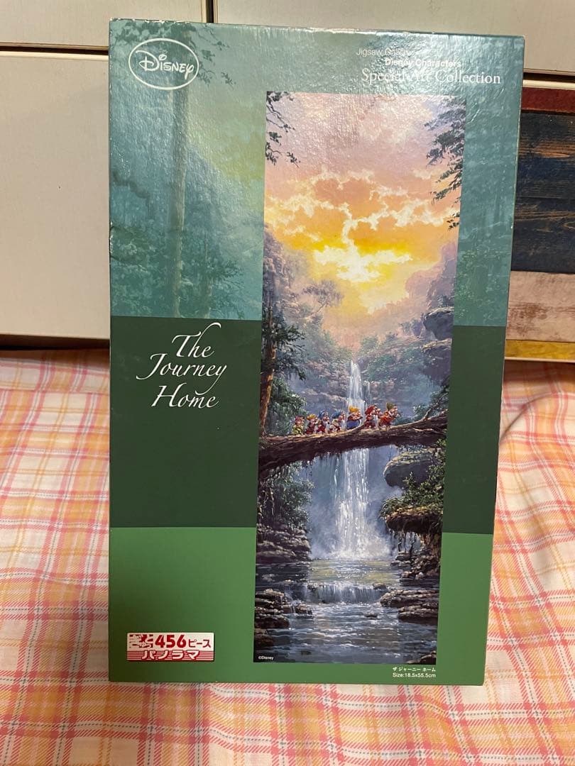 ディズニー ザ ジャーニーホーム ロデルゴンザレス 456p パノラマ