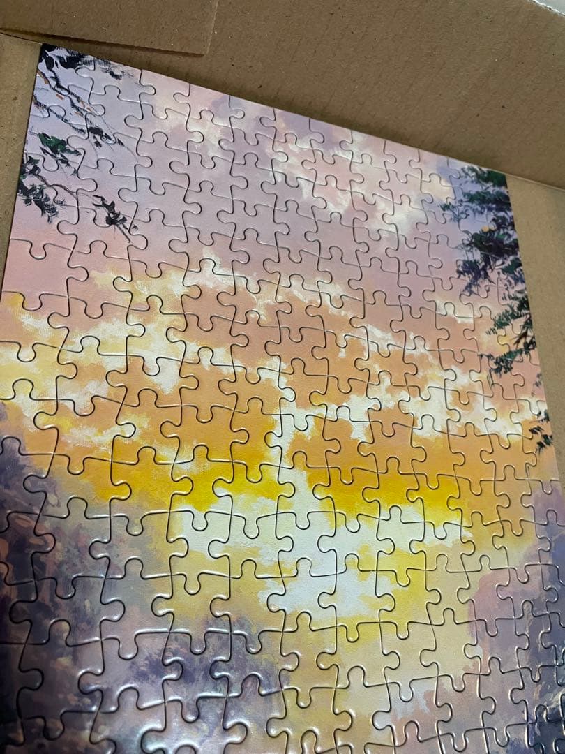 ディズニー ザ ジャーニーホーム ロデルゴンザレス 456p パノラマ