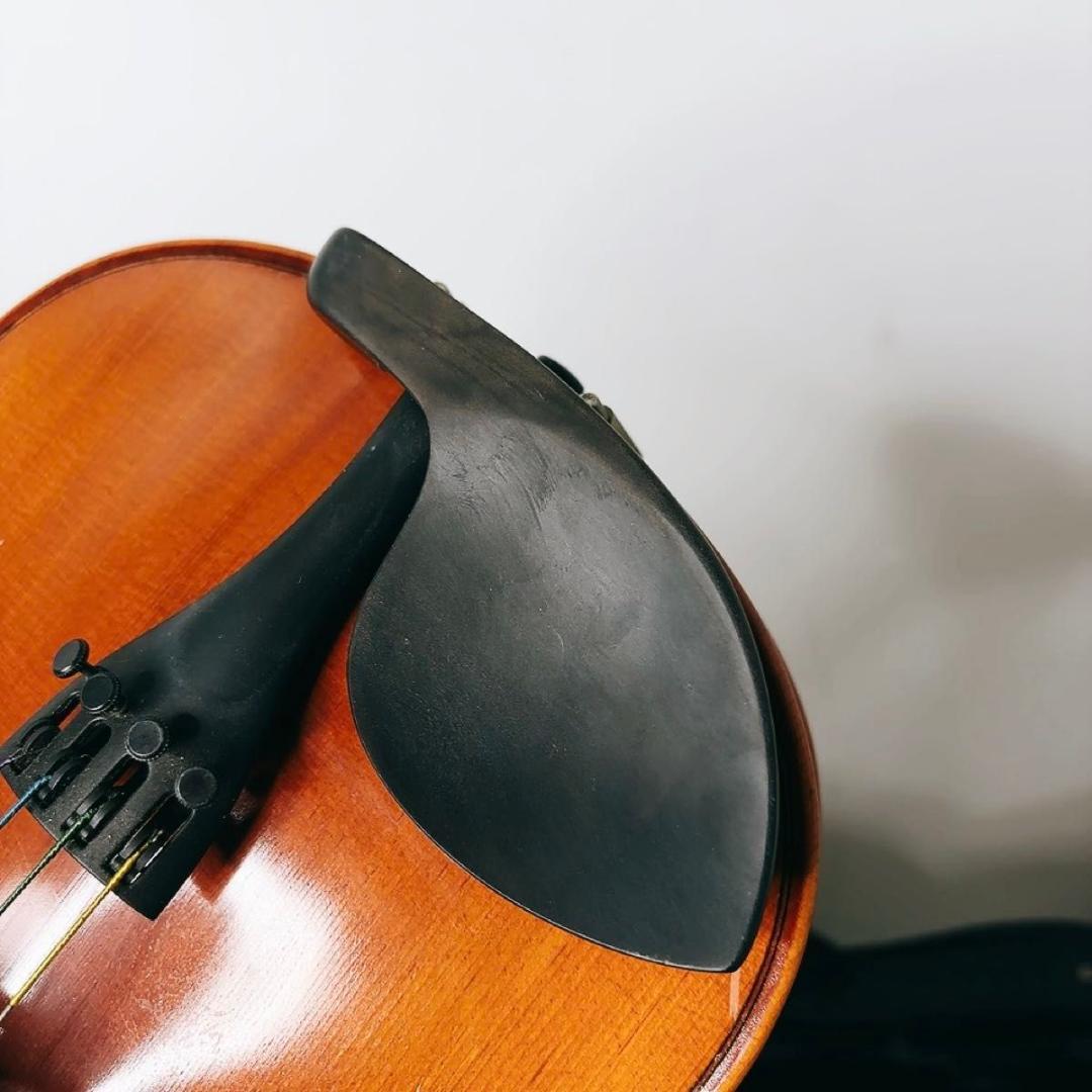 Eastman VL80 4/4　バイオリン 4/4 イーストマン