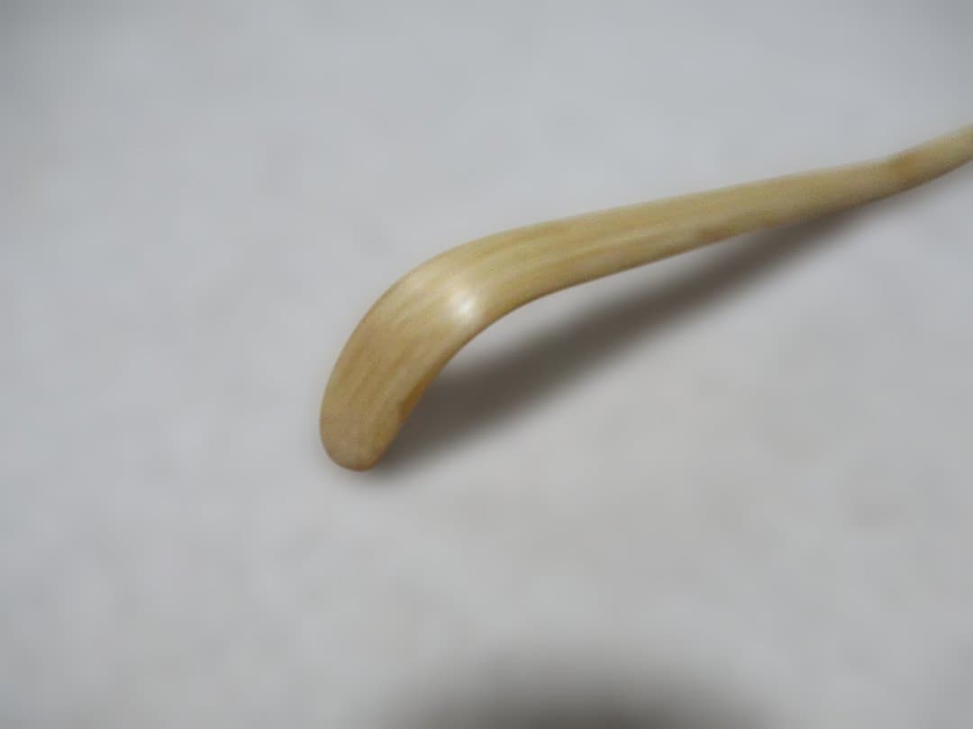 茶道具 竹茶杓 堀内宗完書付 銘佳日 表千家