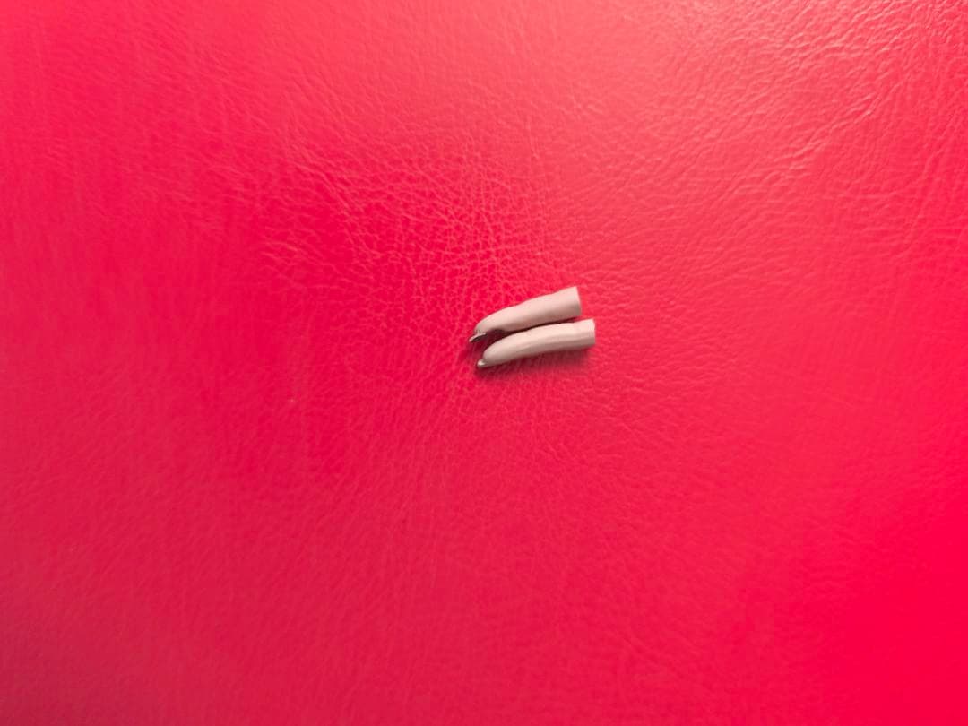 バンピレラ/ バンピレラ プレミアムフォーマット フィギュア サイドショウ