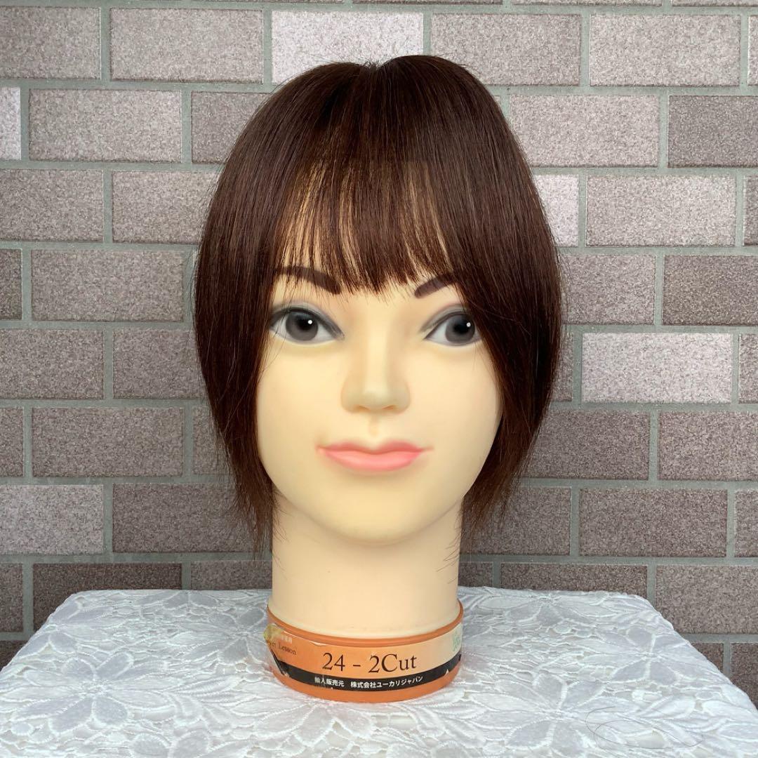 人毛100%総手植え 医療用 部分ウィッグ ヘアピース ブラックブラウン