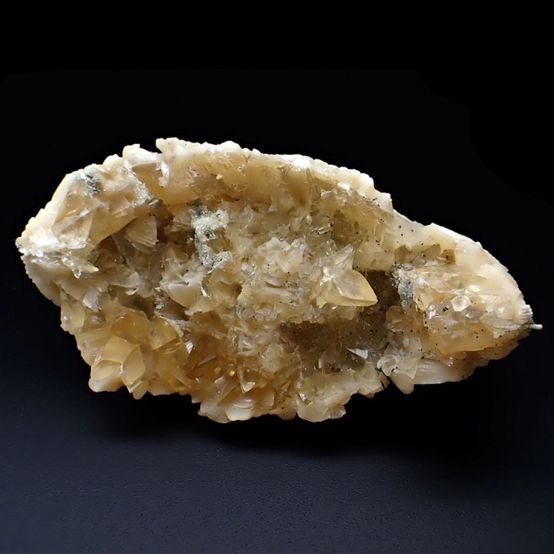 アメリカ/フロリダ産】カルサイト(方解石)inハマグリ化石