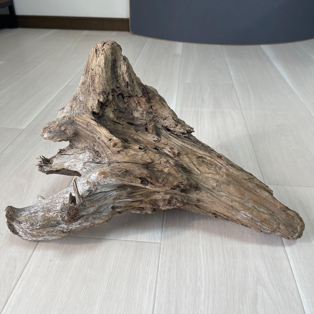 ③ 流木 自然形状 爬虫類 テラリウム アクアリウム 魚 インテリア