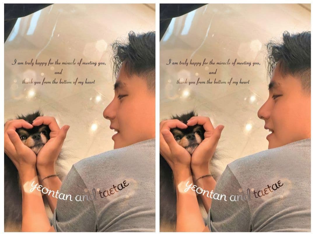 チミー様 確認用