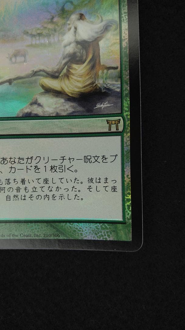 垣間見る自然 CHK foil 日本語