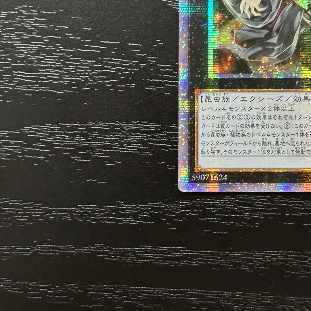 遊戯王 アロメルスの蟲惑魔 20th アジア版 中国表記