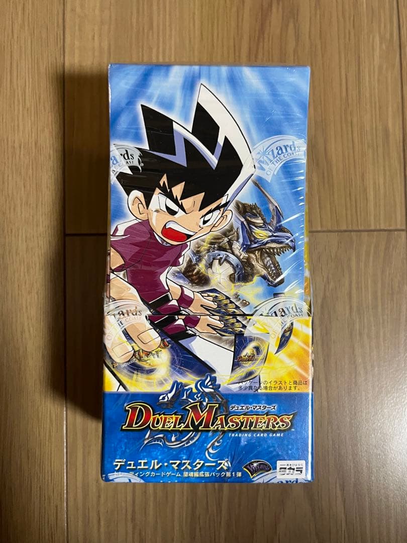 デュエル・マスターズ DM-06 闘魂編 インビンシブル・ソウル 未開封Box