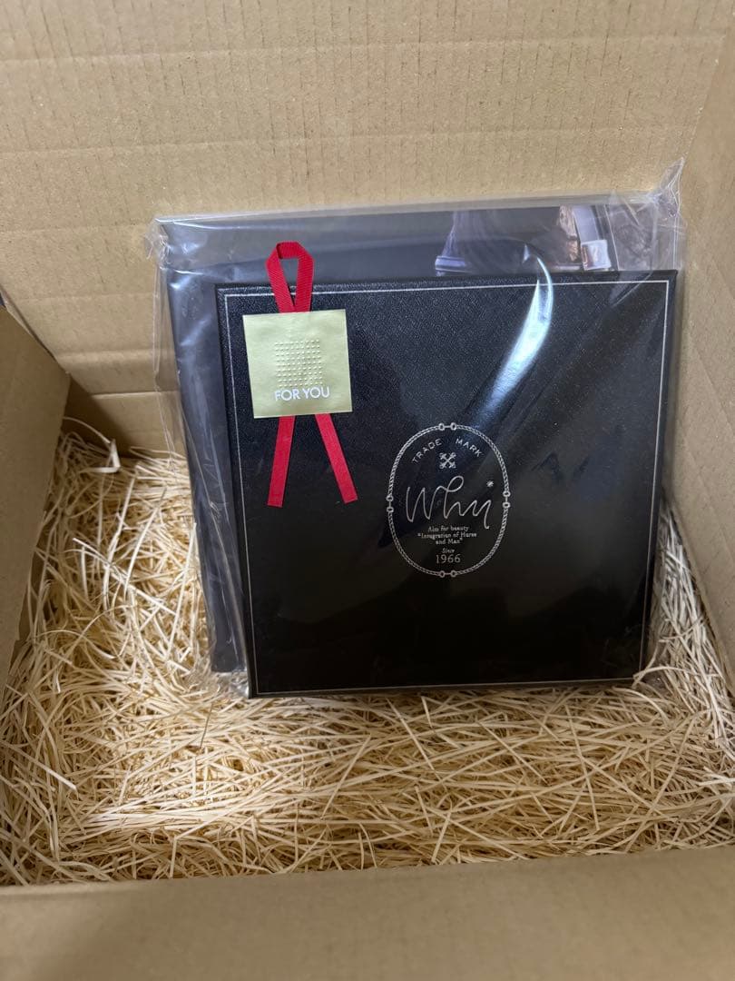 イクイノックス　出資者限定　天皇賞・秋