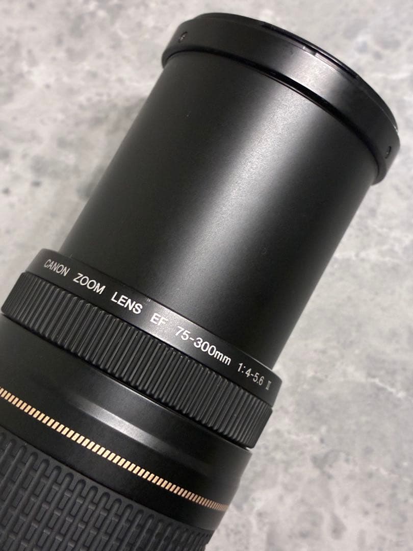 ⭐️外観美品⭐️Canon EF 75-300mm F/4-5.6 II USM