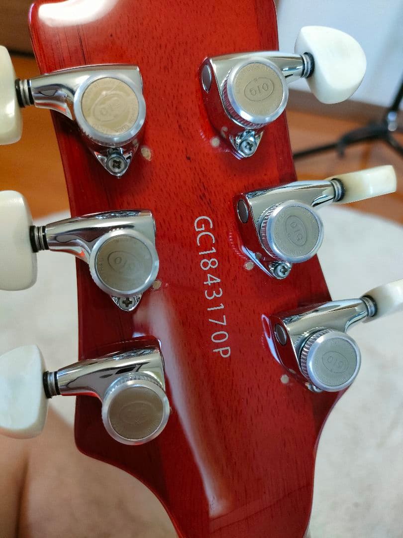 G-レオン -HIROKAZ Signature Model ESPカスタム