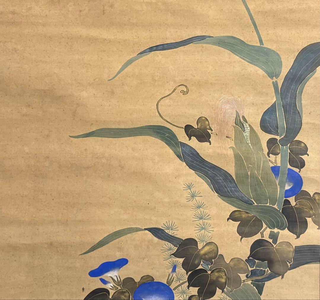 酒井抱一筆 絹本肉筆 朝顔 沒骨法 掛軸 送料込み250824 - メルカリ